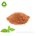 Organisch kruid Holy Basil Leaf Extract 10: 1 poeder